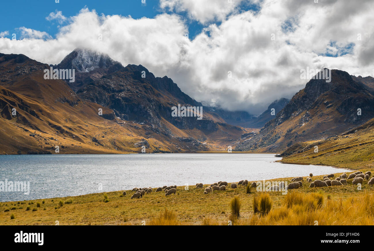 Lake Querococha Peru Stock Photo