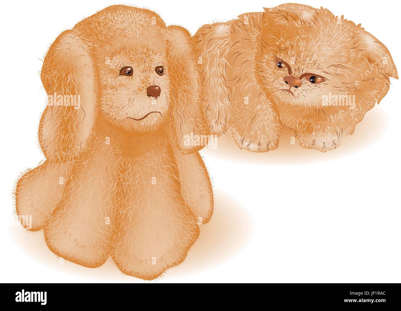 animal, playful, animals, pets, dog, puppy, cub, baby, cat baby, kitten