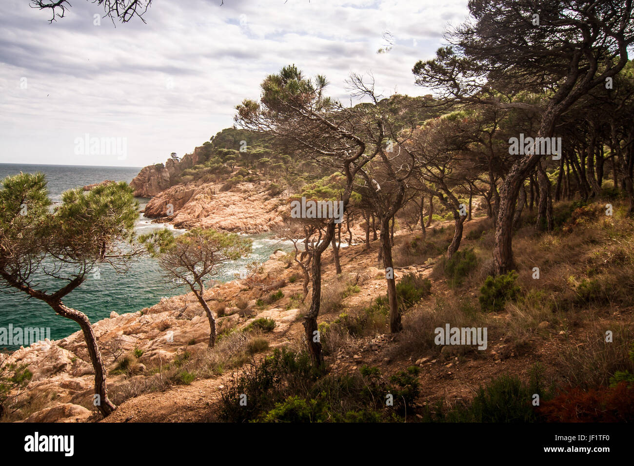 Beautiful mediterranean landscape. Stock Photo by ©LiliGraphie