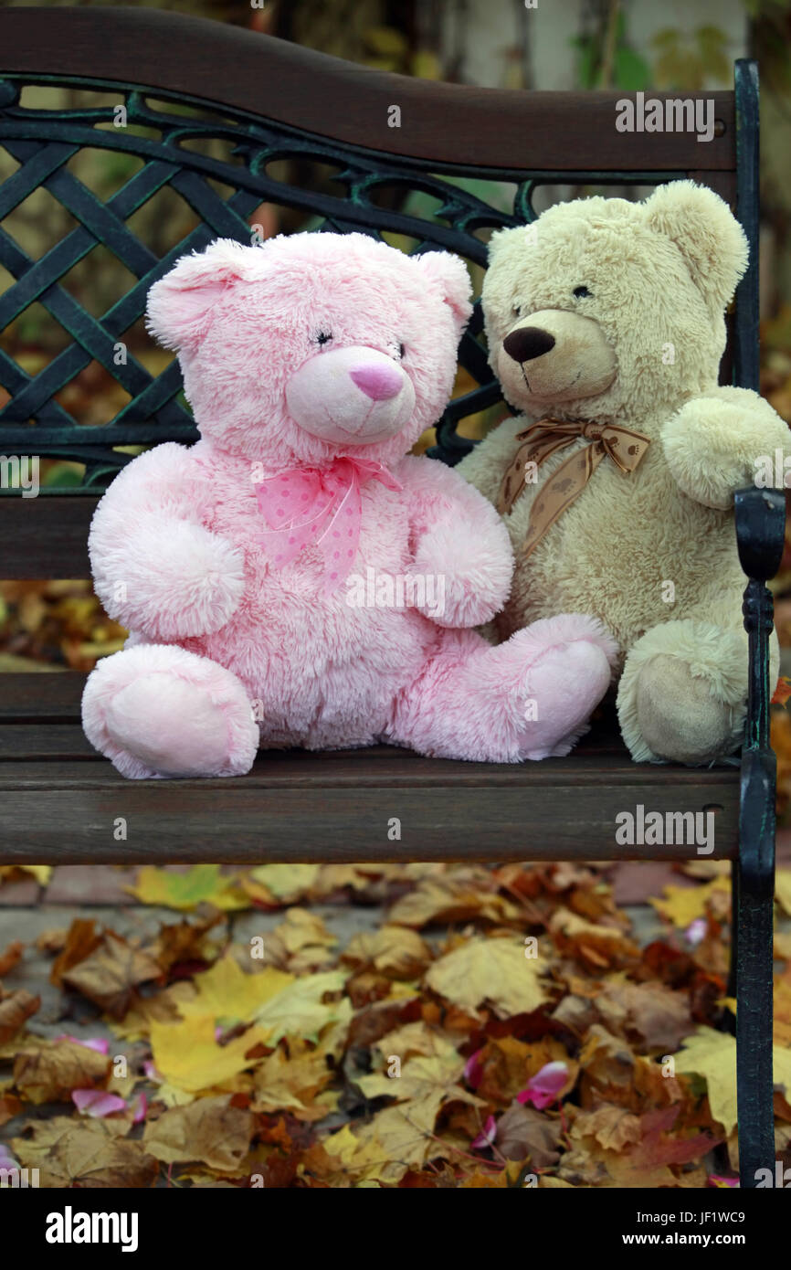 Teddy bear autumn hires stock photography