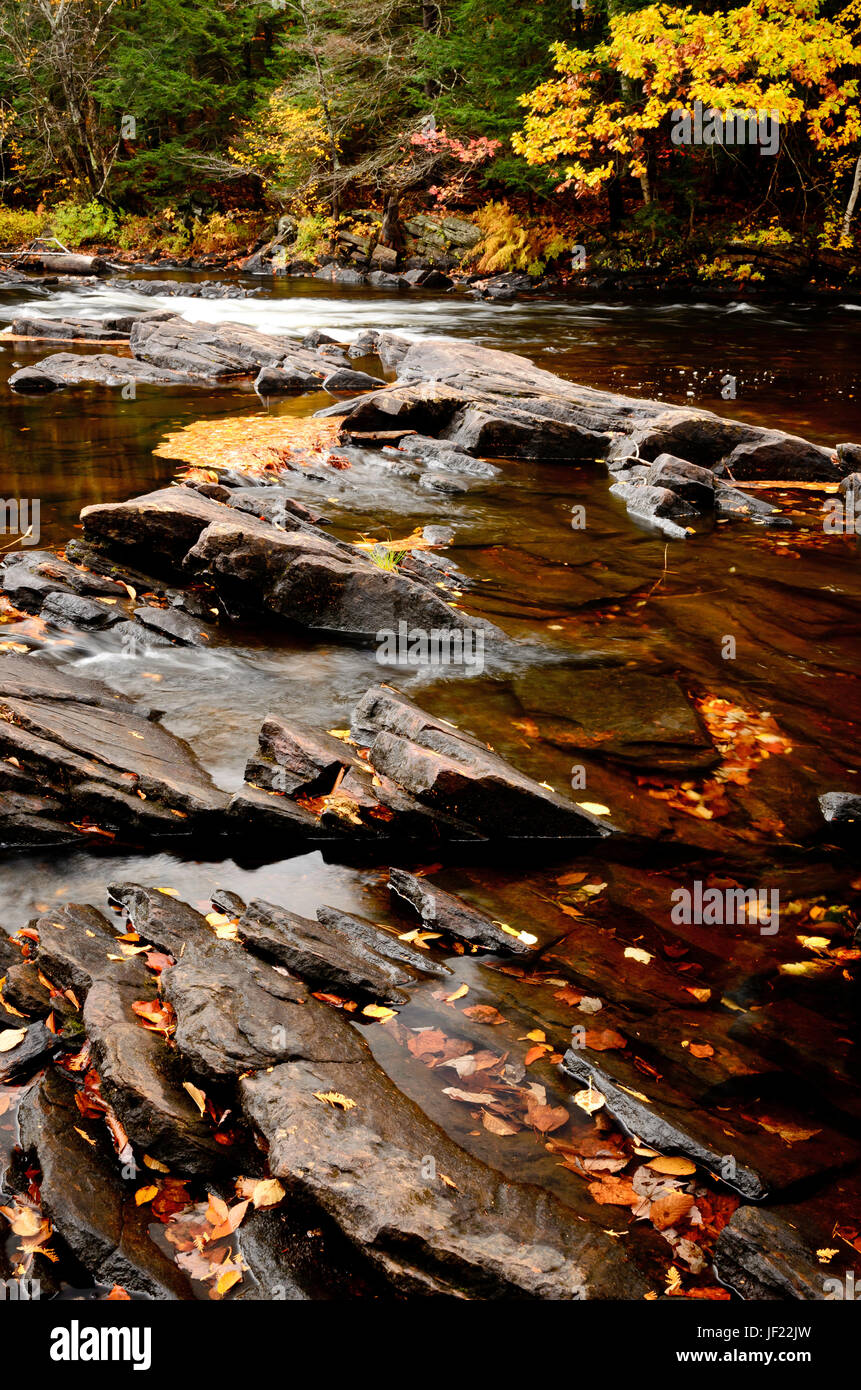 Rapids on the Ox Tongue River in the Fall Stock Photo