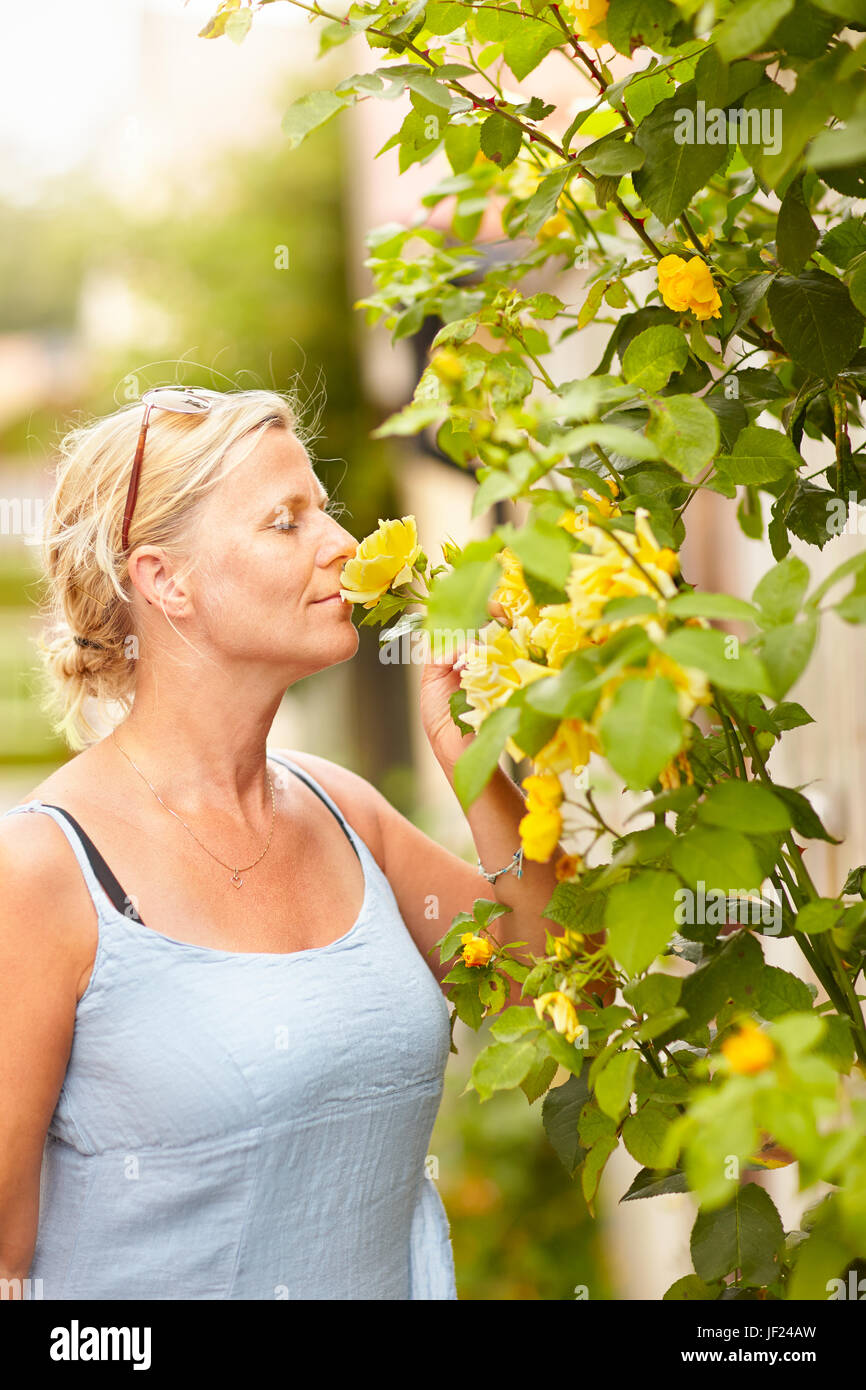 Woman smelling rose Stock Photo - Alamy