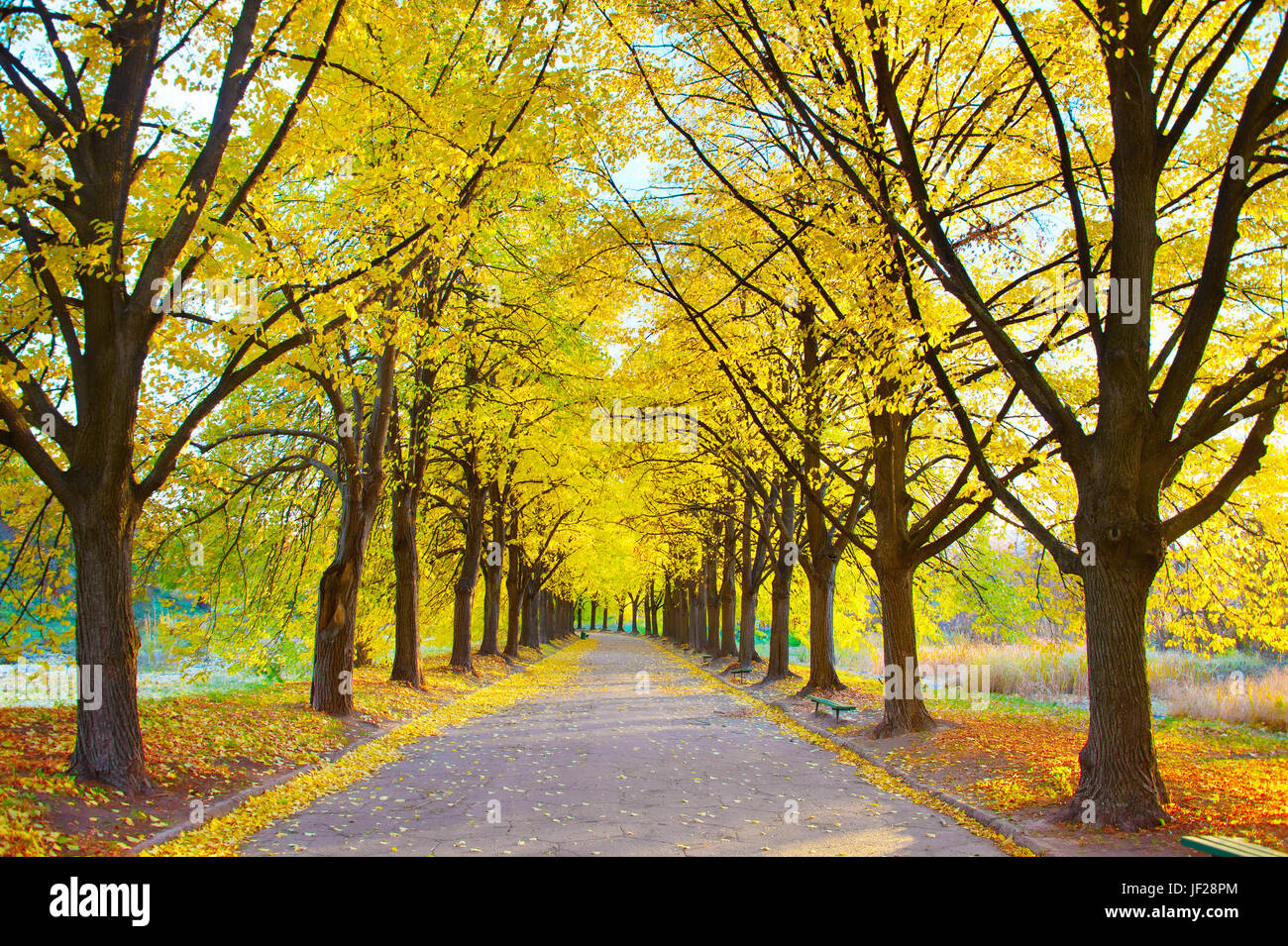 Beautiful walkway hi-res stock photography and images - Alamy