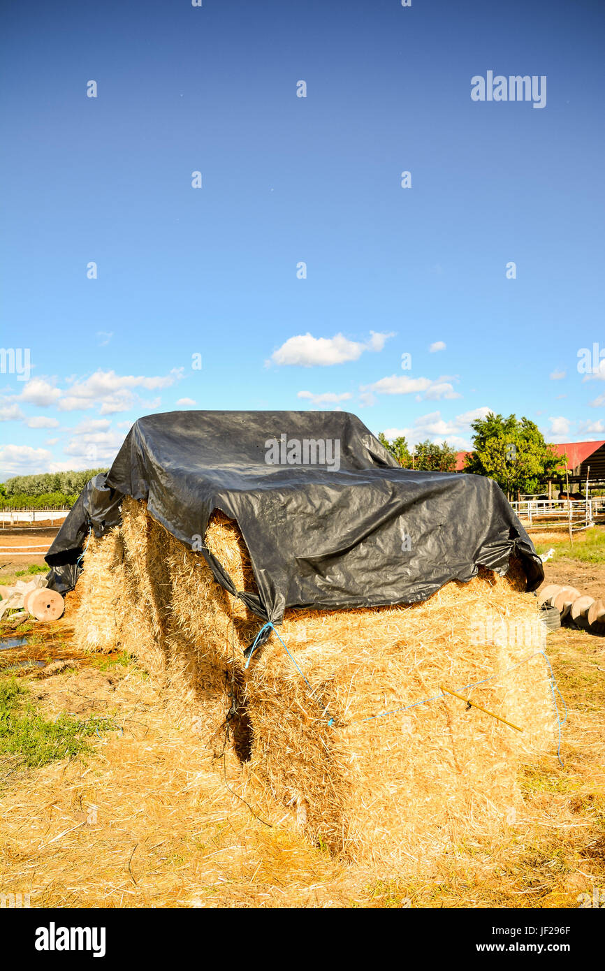 Autumn rural landscape with hay bale, and farm Stock Photo - Alamy