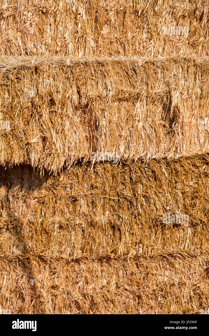 Page 12 Hay Bale Closeup High Resolution Stock Photography And Images Alamy