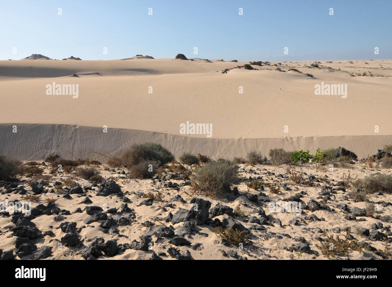 Starting point of the desert Stock Photo