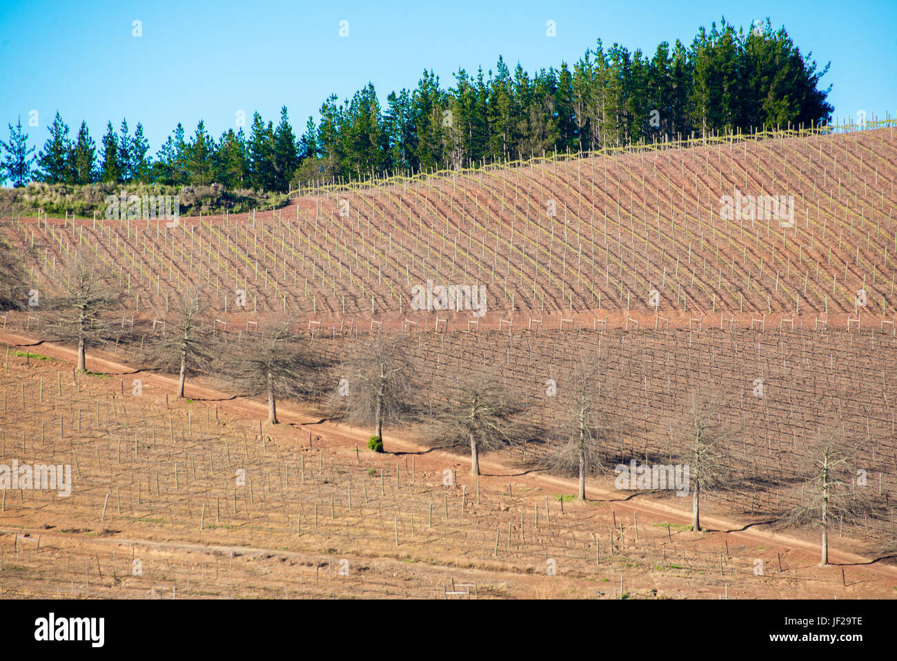 Brown Shapes of Cultivated Land Stock Photo