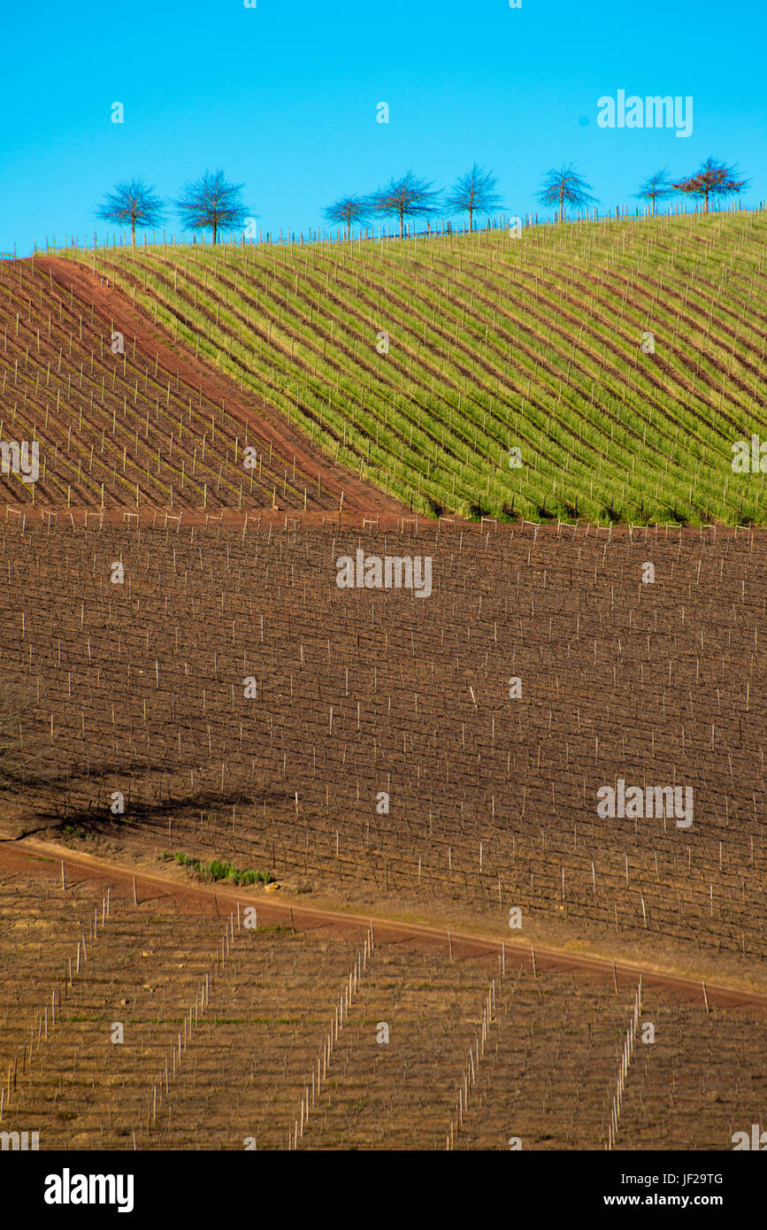 Shapes of Cultivated Land Stock Photo
