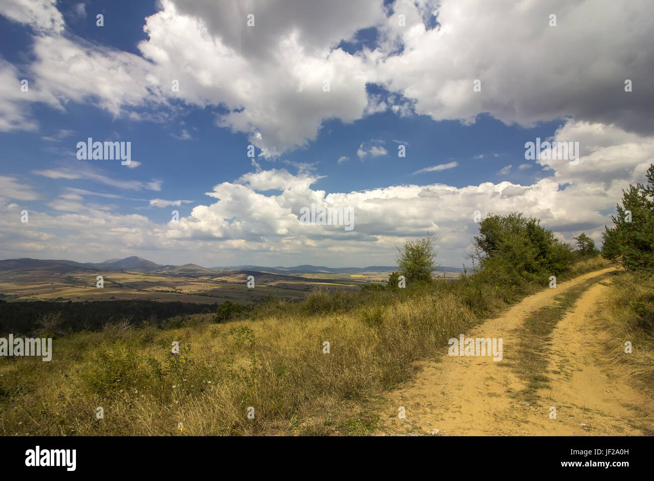 Landscape with country road Stock Photo