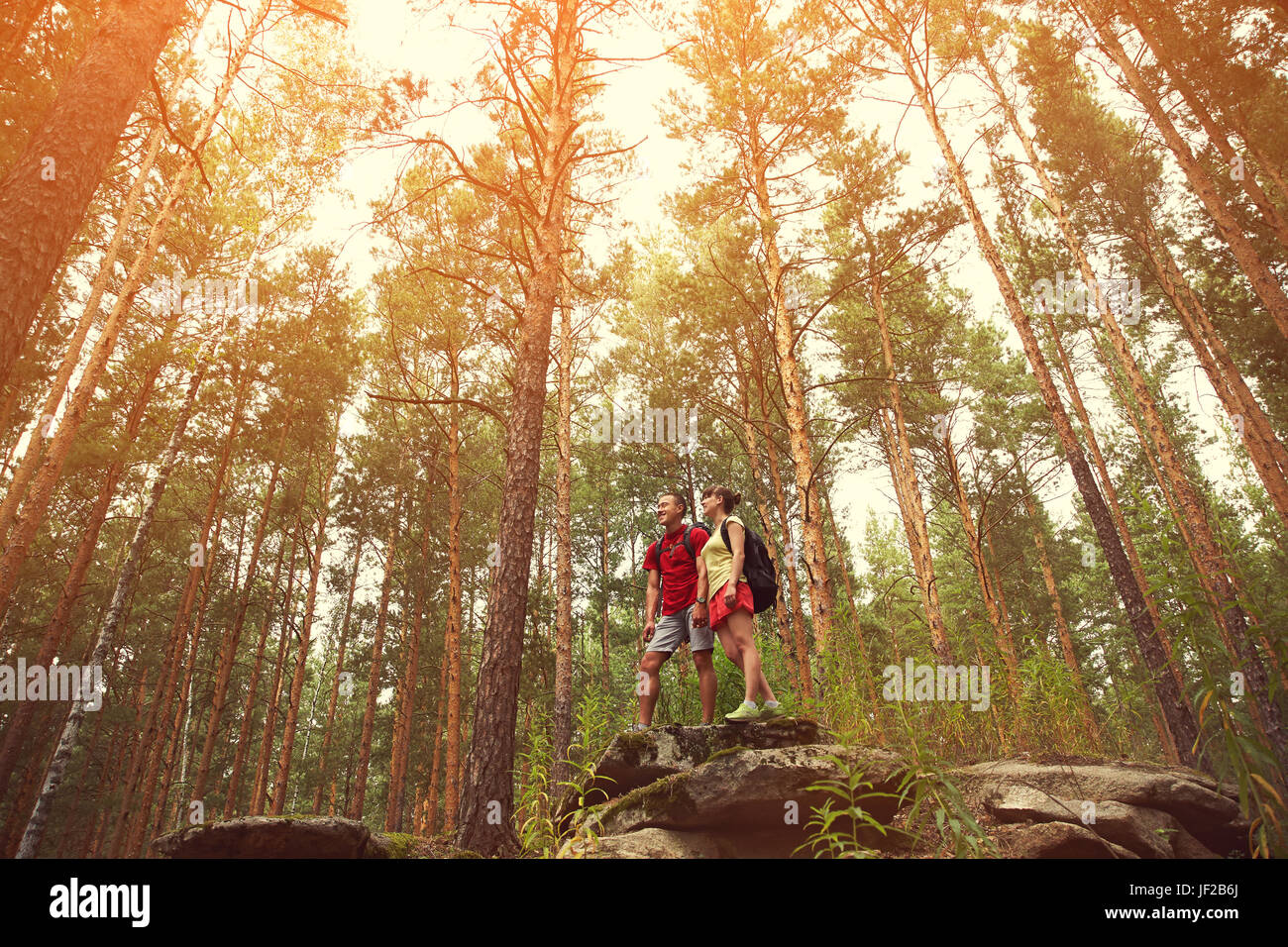 Young couple hikers in forest. sports man and woman with backpacks in ...