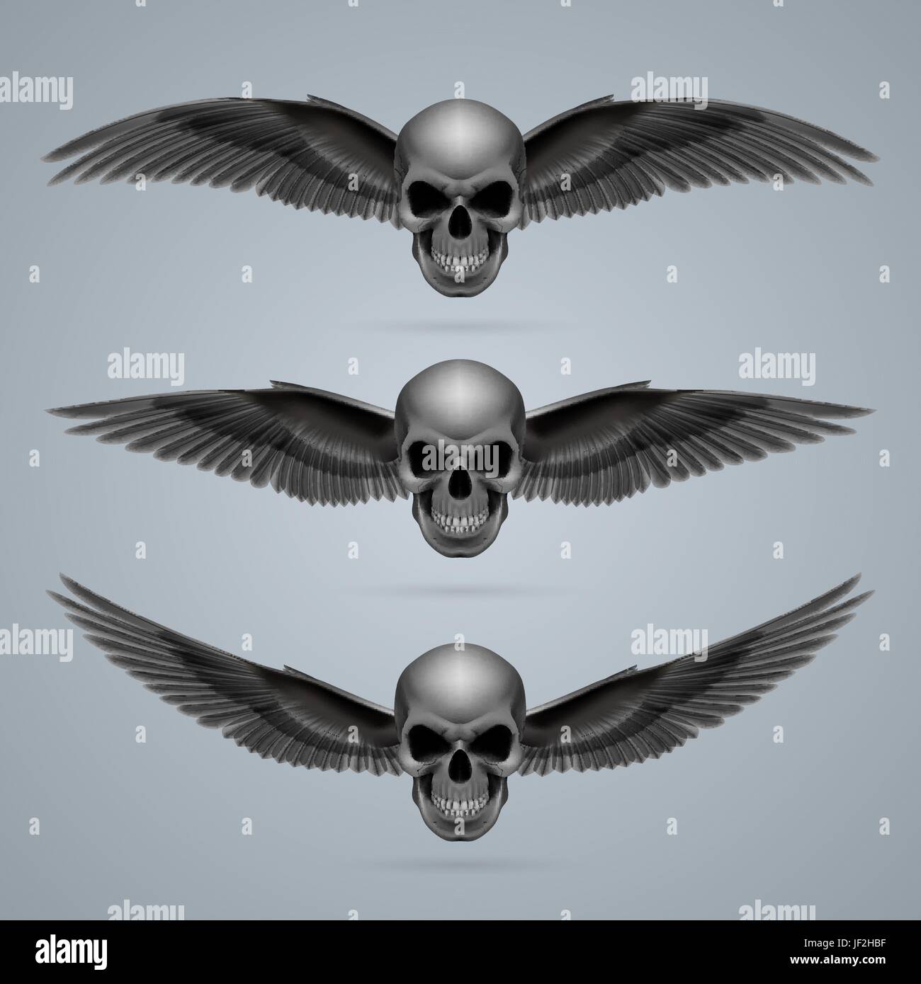danger, culture, isolated, death, ride, emblem, graphic, face, human ...