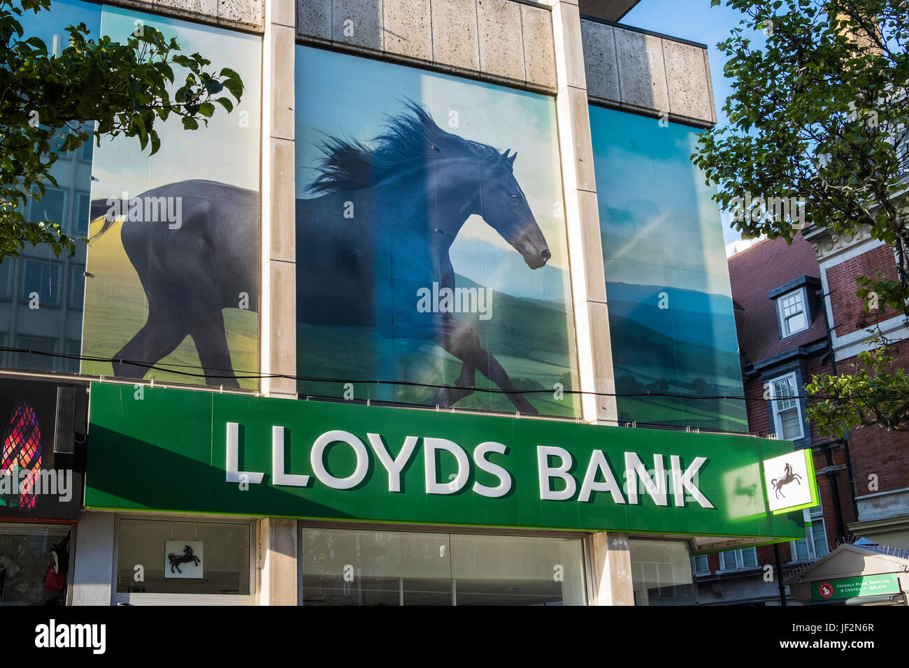 Lloyds Bank With Picture Of Black Horse Above The Branch On Oxford