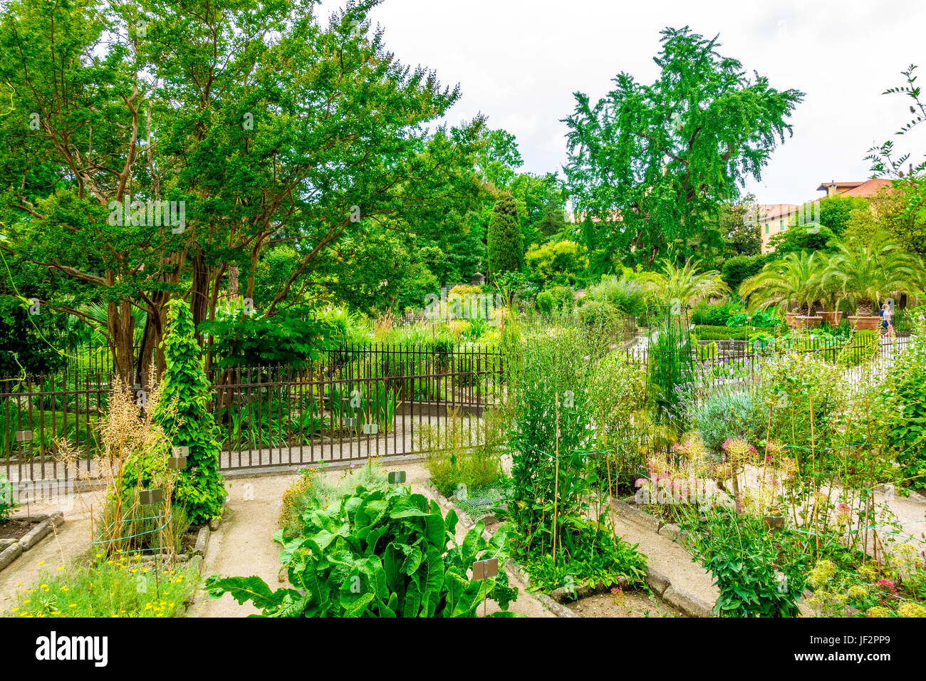 Botanical garden in Padova, Italy Stock Photo