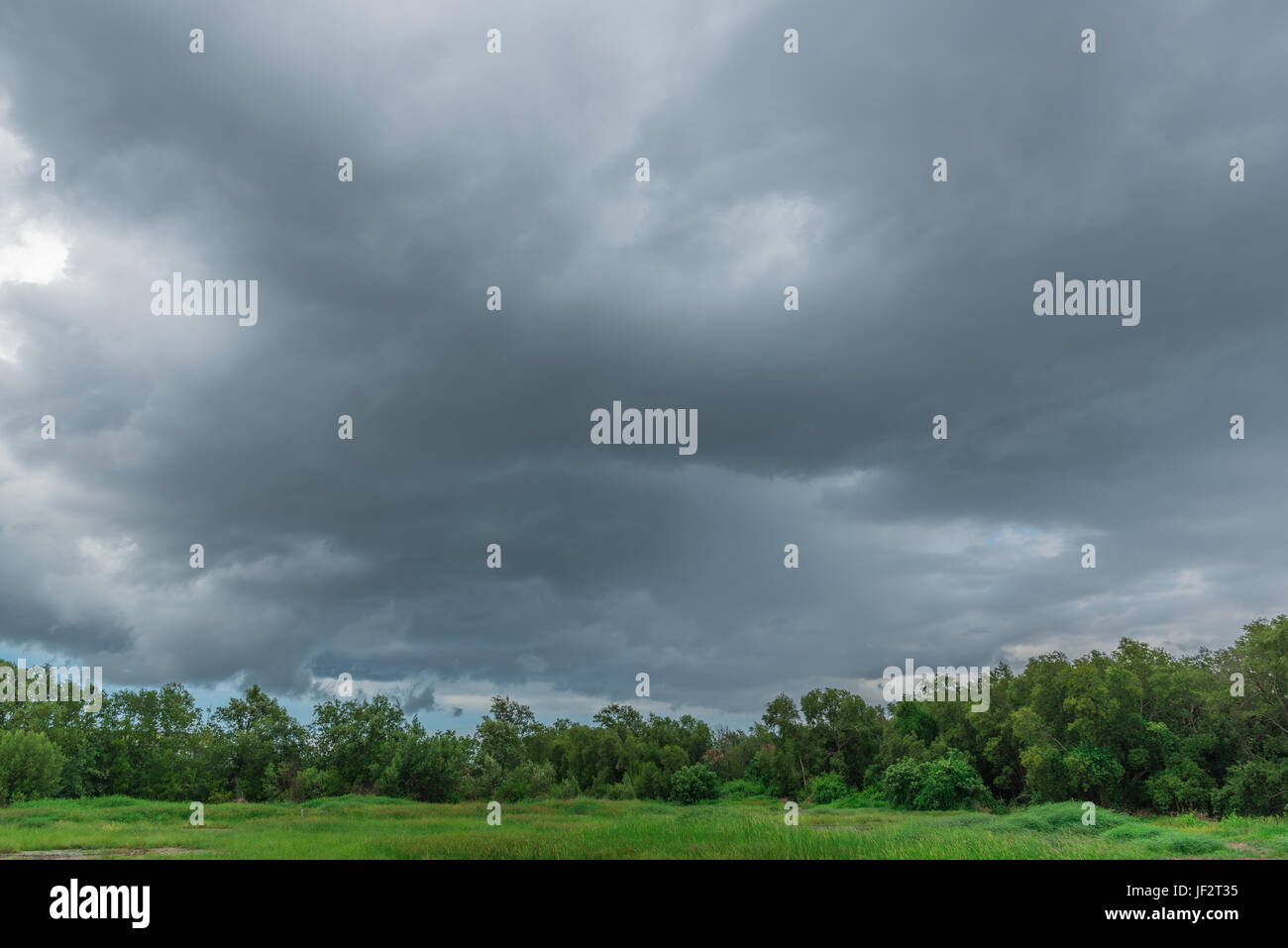 Rain clouds over the forest before a storm in rainy season Stock Photo ...