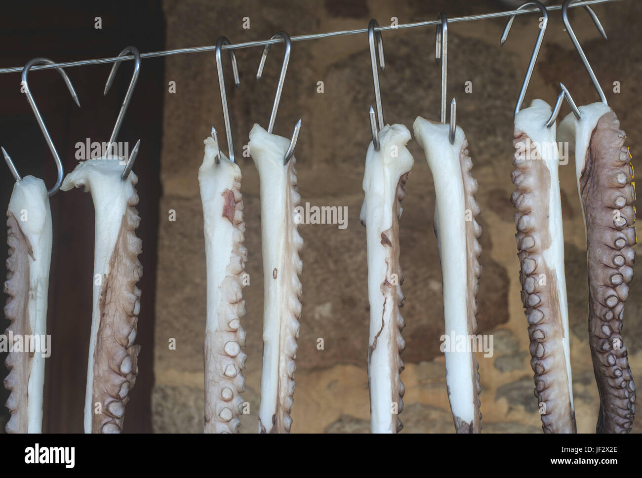 Octopus on rope Stock Photo - Alamy