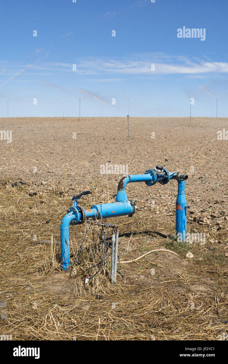 Pipes and tap water for watering plants Stock Photo Alamy