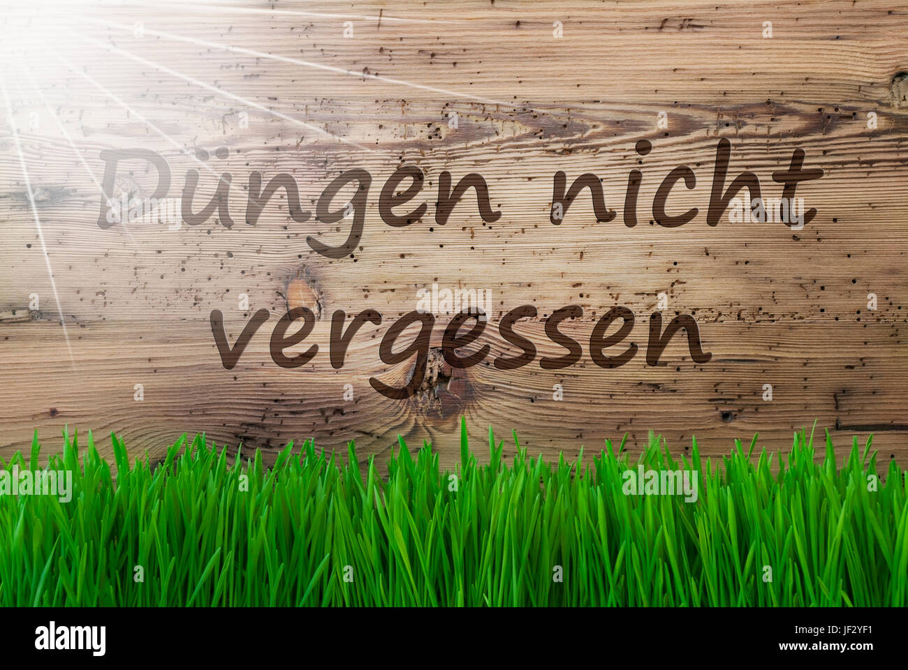 Sunny Background, Gras, Duengen Nicht Vergessen Means Dont Forget Dung Stock Photo