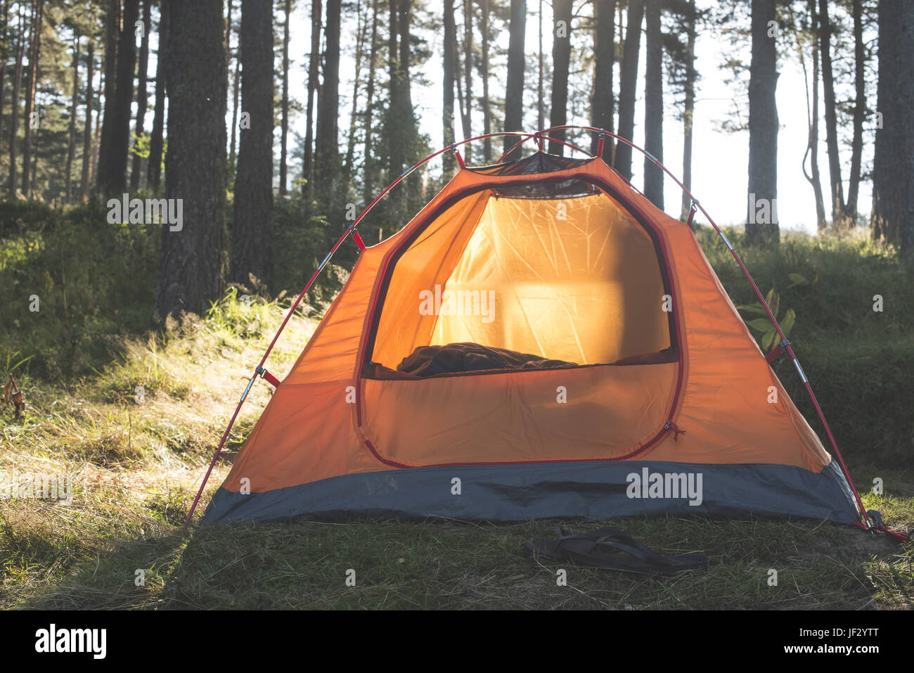 Tent in the forest on sunlight Stock Photo - Alamy