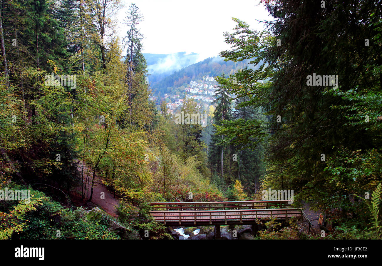 Black forest - Germany Stock Photo - Alamy