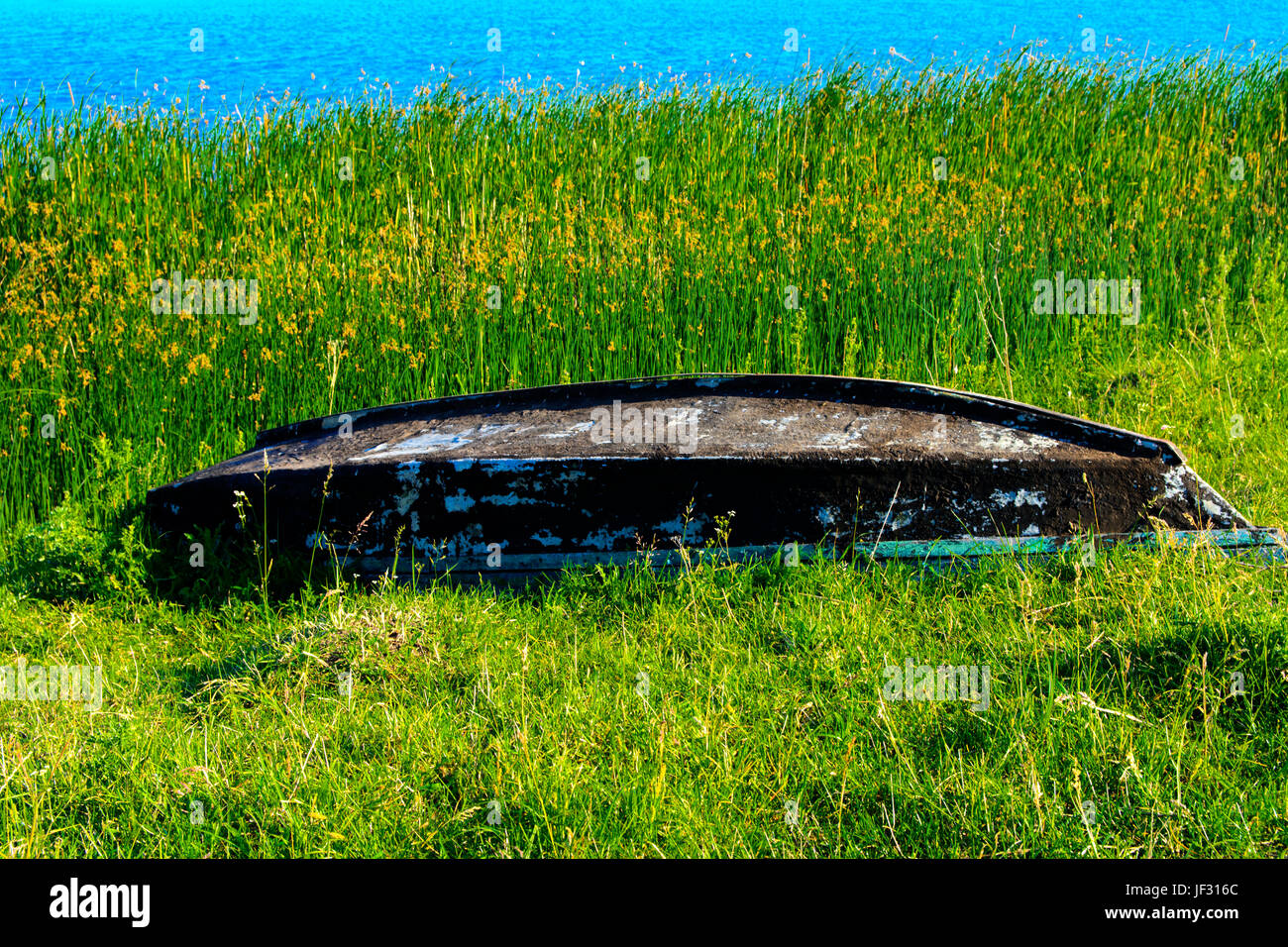 An old wooden boat lies on the shore of a beautiful lake Stock Photo ...