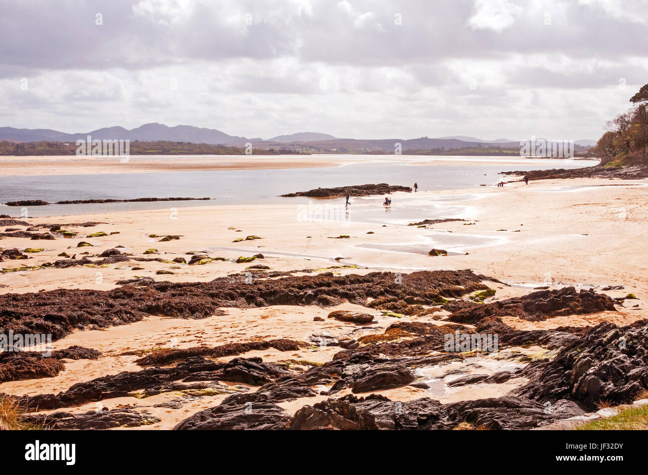 Beach and views at Ards Forest Park, County Donegal, Ireland Stock ...