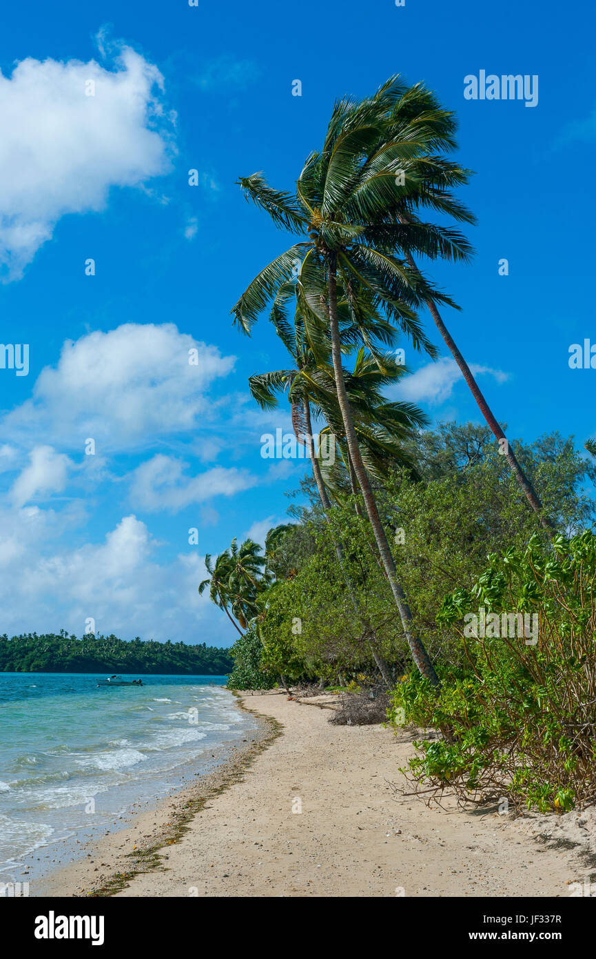 Palm fringed white sand beach on an islet of Vava´u, Vavau islands ...