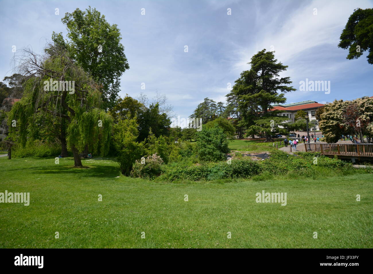 Impressions from the University of California - Berkeley campus from ...