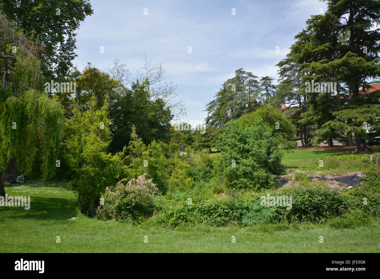 Impressions from the University of California - Berkeley campus from ...