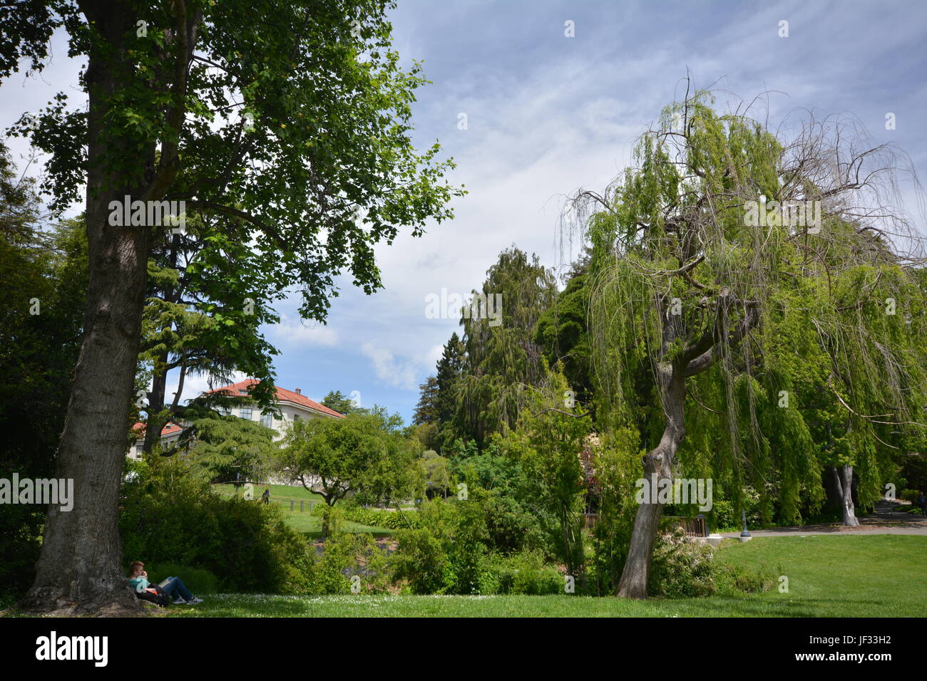 Impressions from the University of California - Berkeley campus from ...