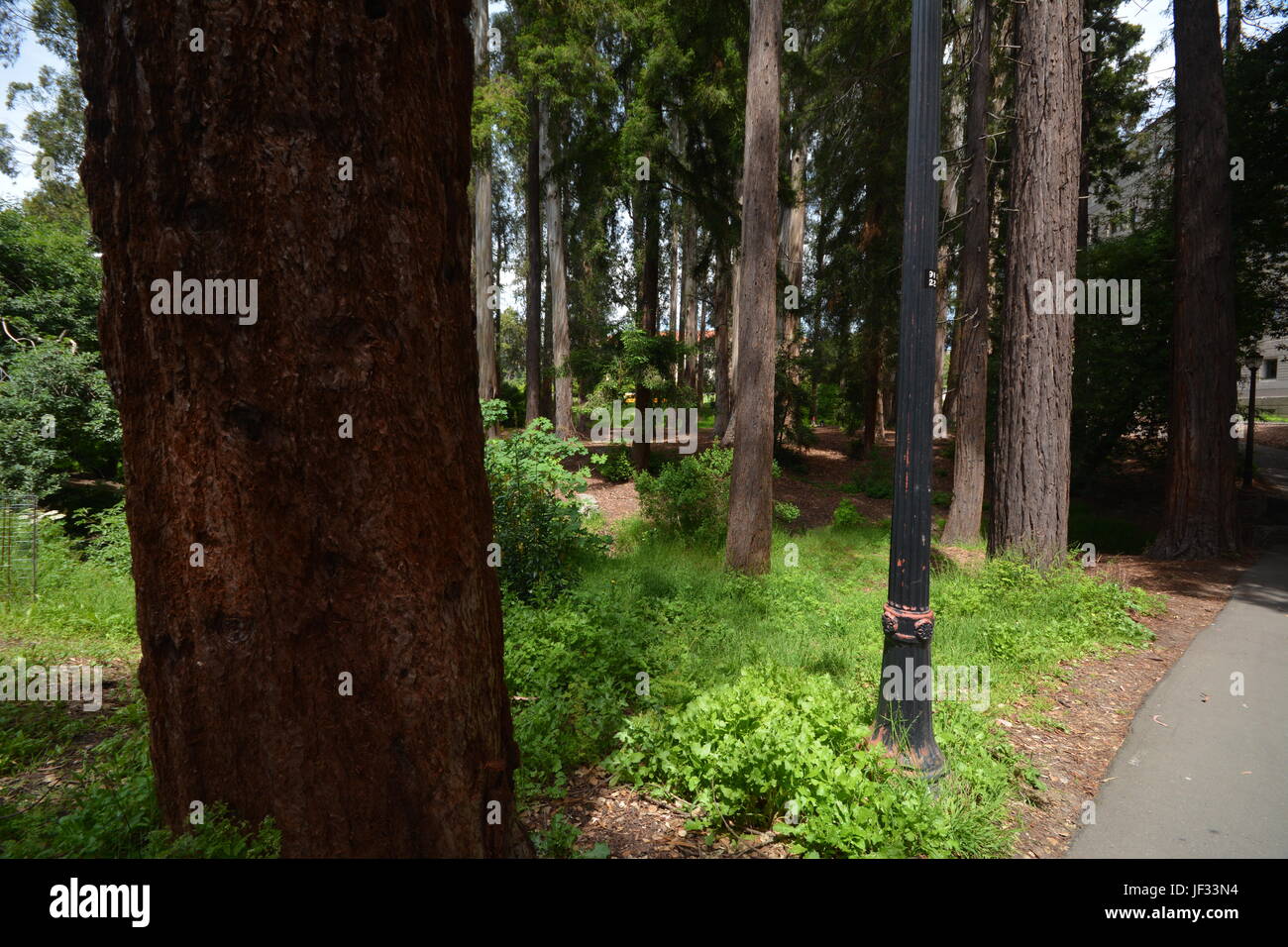 Impressions from the University of California - Berkeley campus from ...