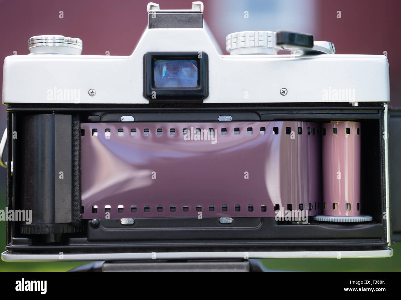 Back panel opened and film loaded into a 35mm SLR camera Stock Photo