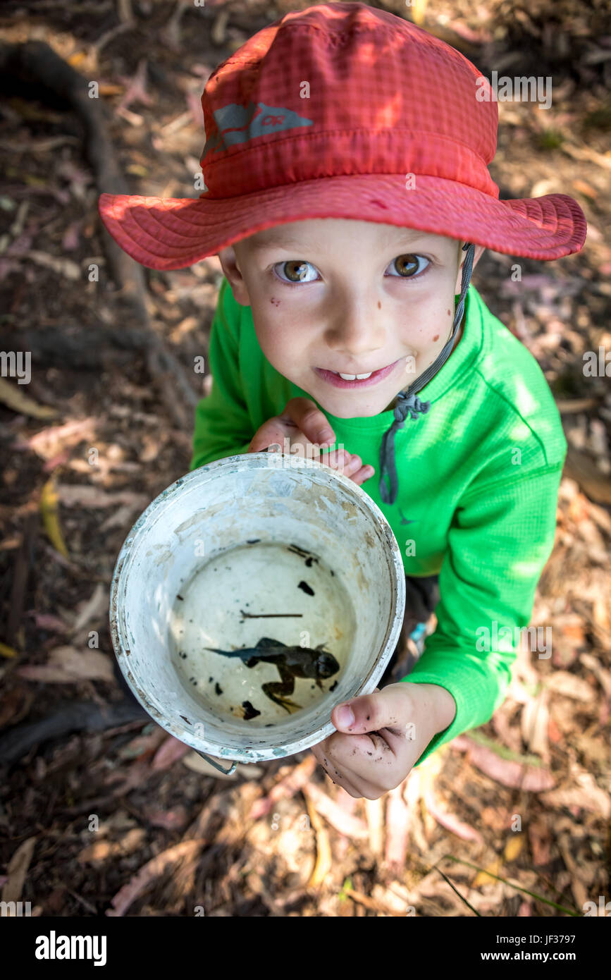 A young boy looks up showing a big tadpole or pollywog he caught in a bucket while frogging. The tadpole has frog legs and still a tail. Stock Photo
