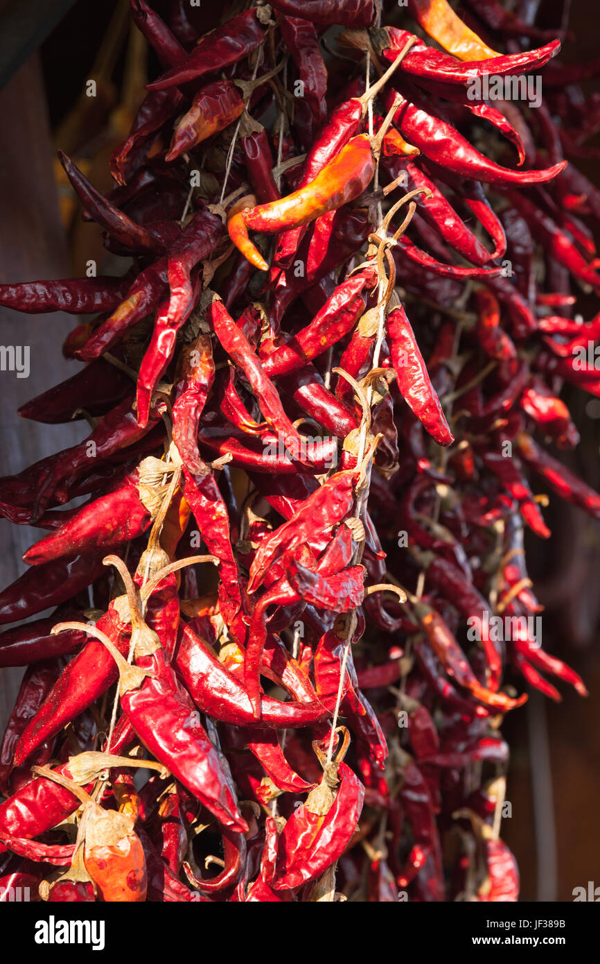 Red hot dry peppers hanging on market Stock Photo - Alamy