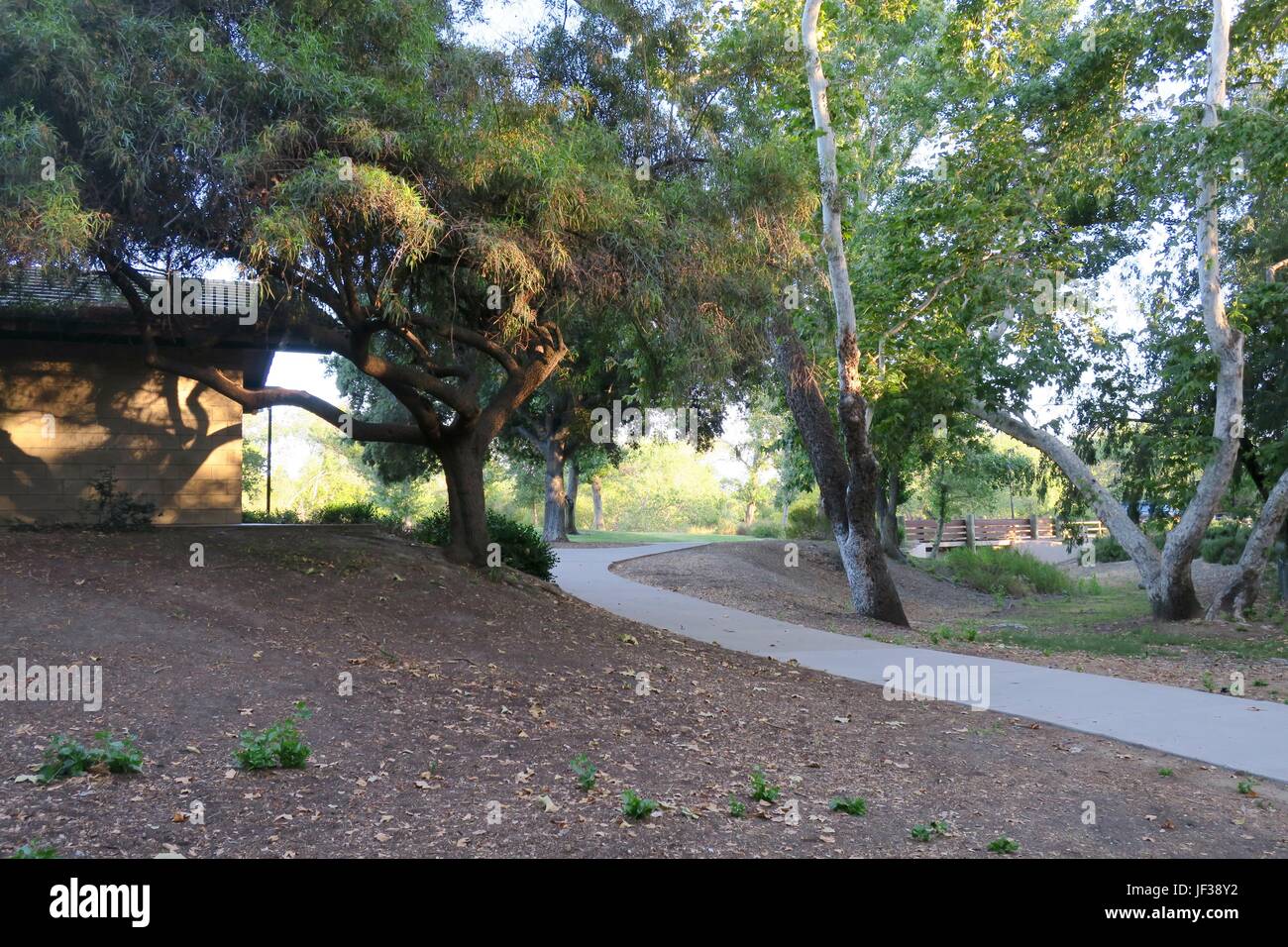 trees at Mast Park, Santee, CA Stock Photo Alamy