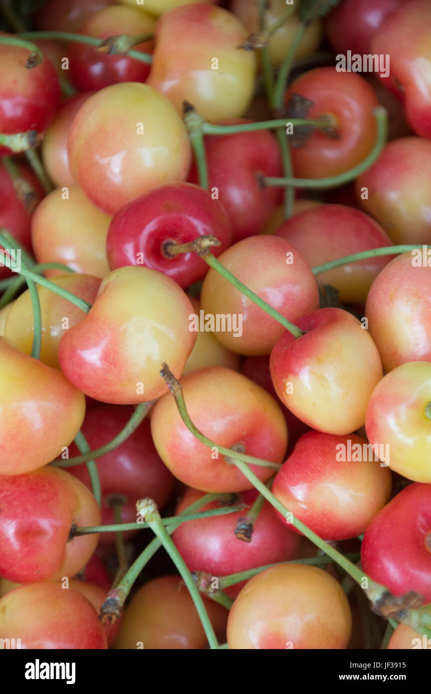 Rainer cherries on sale at a farmers market , Stock Photo