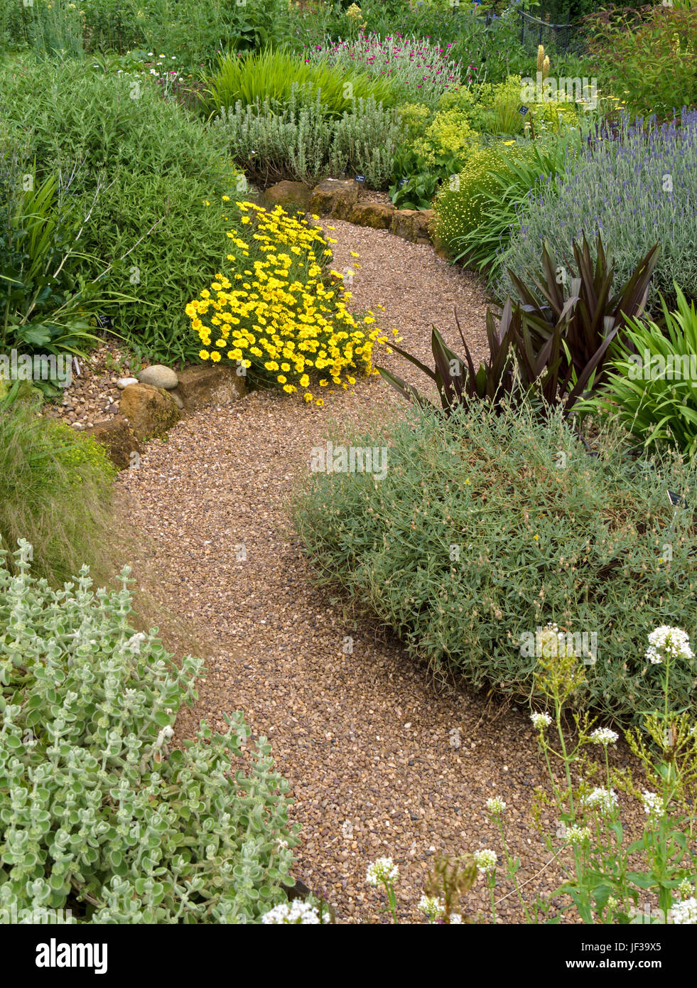 Meandering gravel garden path between beds, Barnsdale Gardens, Oakham