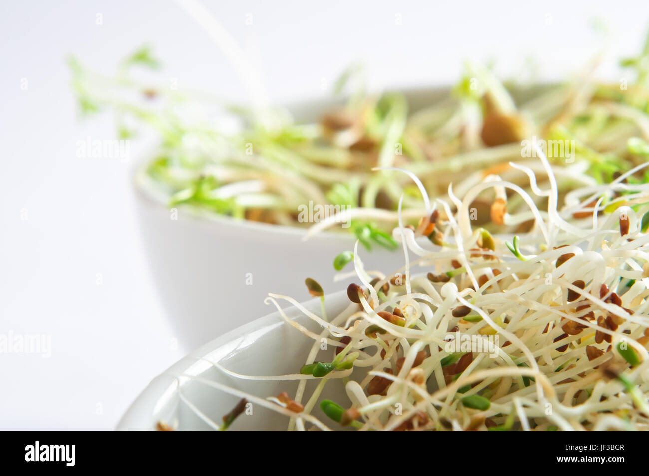 Close up (macro) of beansprouts in a white china bowl, with a further bowl in soft focus behind it. Stock Photo
