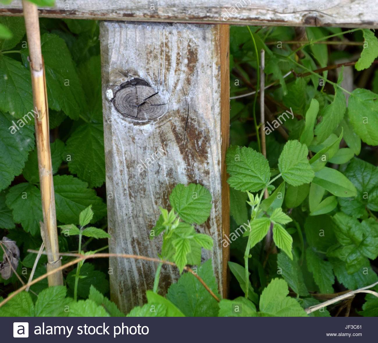 Holzlatten Stock Photos & Holzlatten Stock Images - Alamy