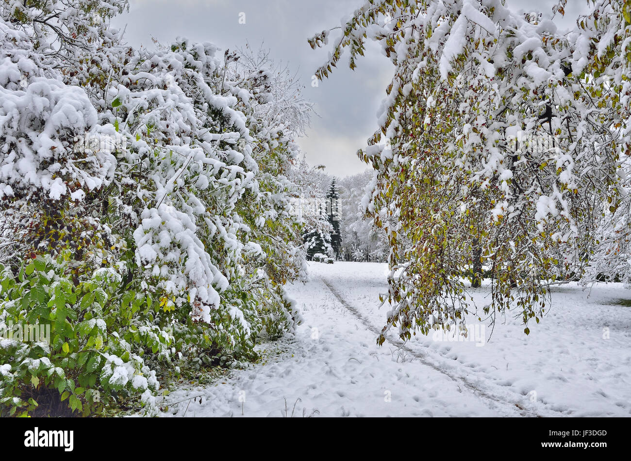 First park hi-res stock photography and images - Alamy