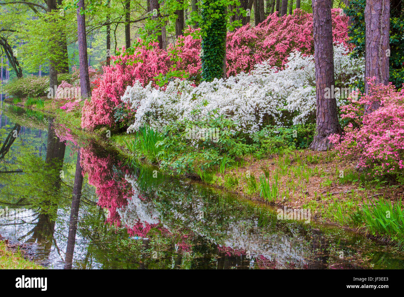Are Dogs Allowed At Callaway Gardens