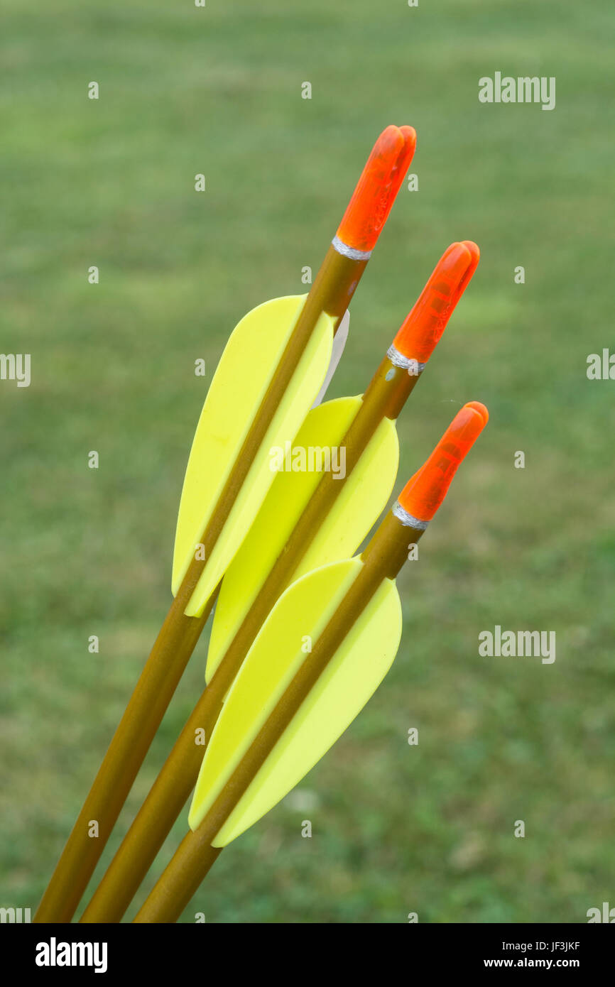 Fletchings, nocks and shafts on modern archery arrows possible