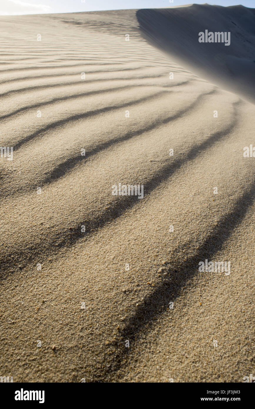 Textured Beach Sand on Dune Stock Photo