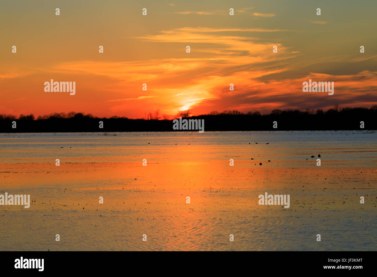 Bald Knob NWR March 2017, Sunset over flooded rice fields used for