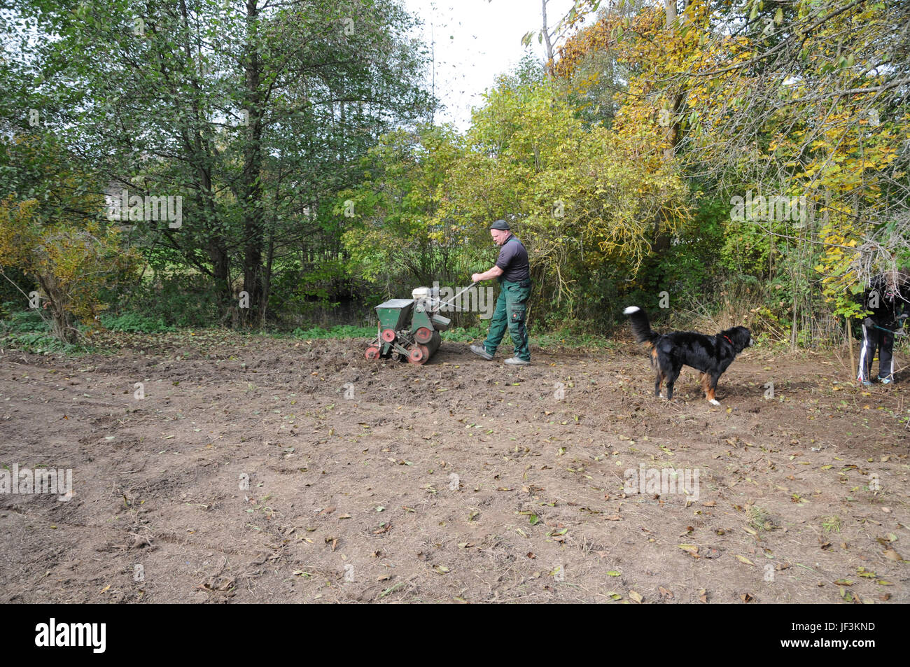 Seeding lawn with machine Stock Photo