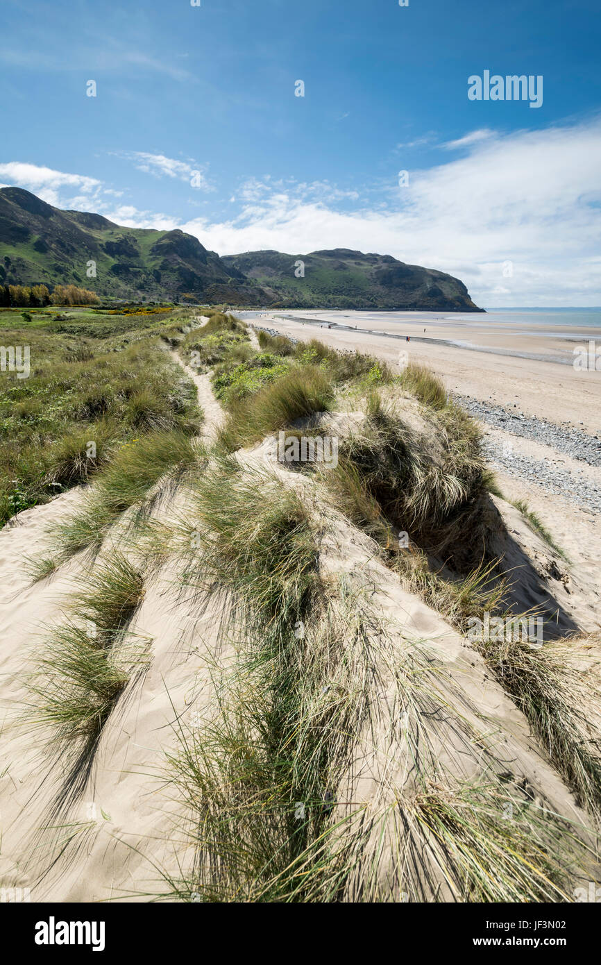 Conwy Morfa beach with Penmaen bach point in the distance Stock Photo