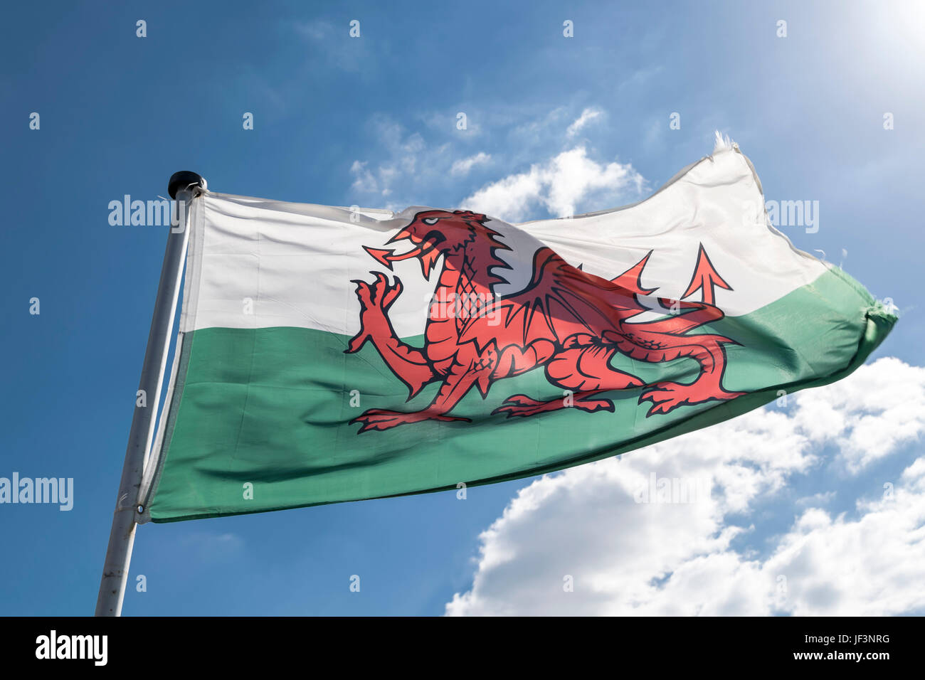 The Flag of Wales Stock Photo