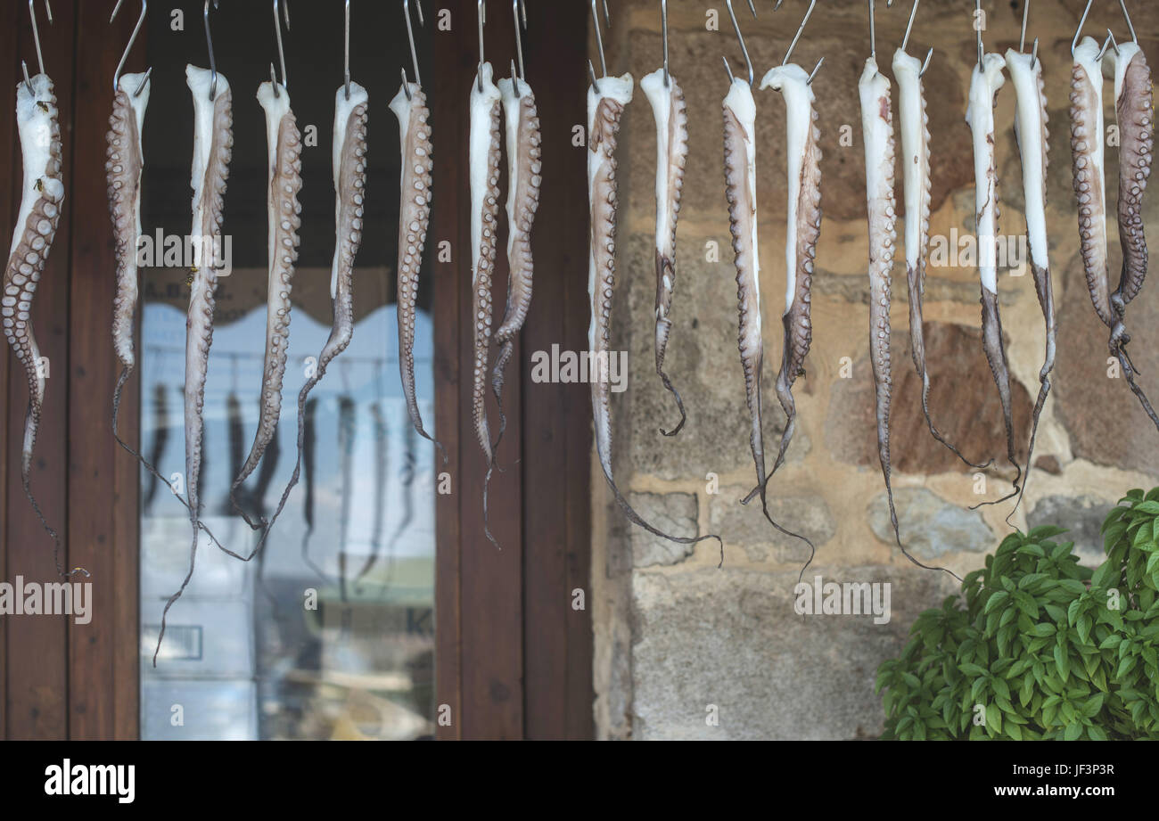 Octopus on rope Stock Photo - Alamy
