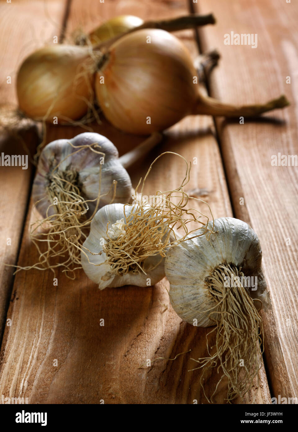 head of garlic on the table rustic Stock Photo Alamy
