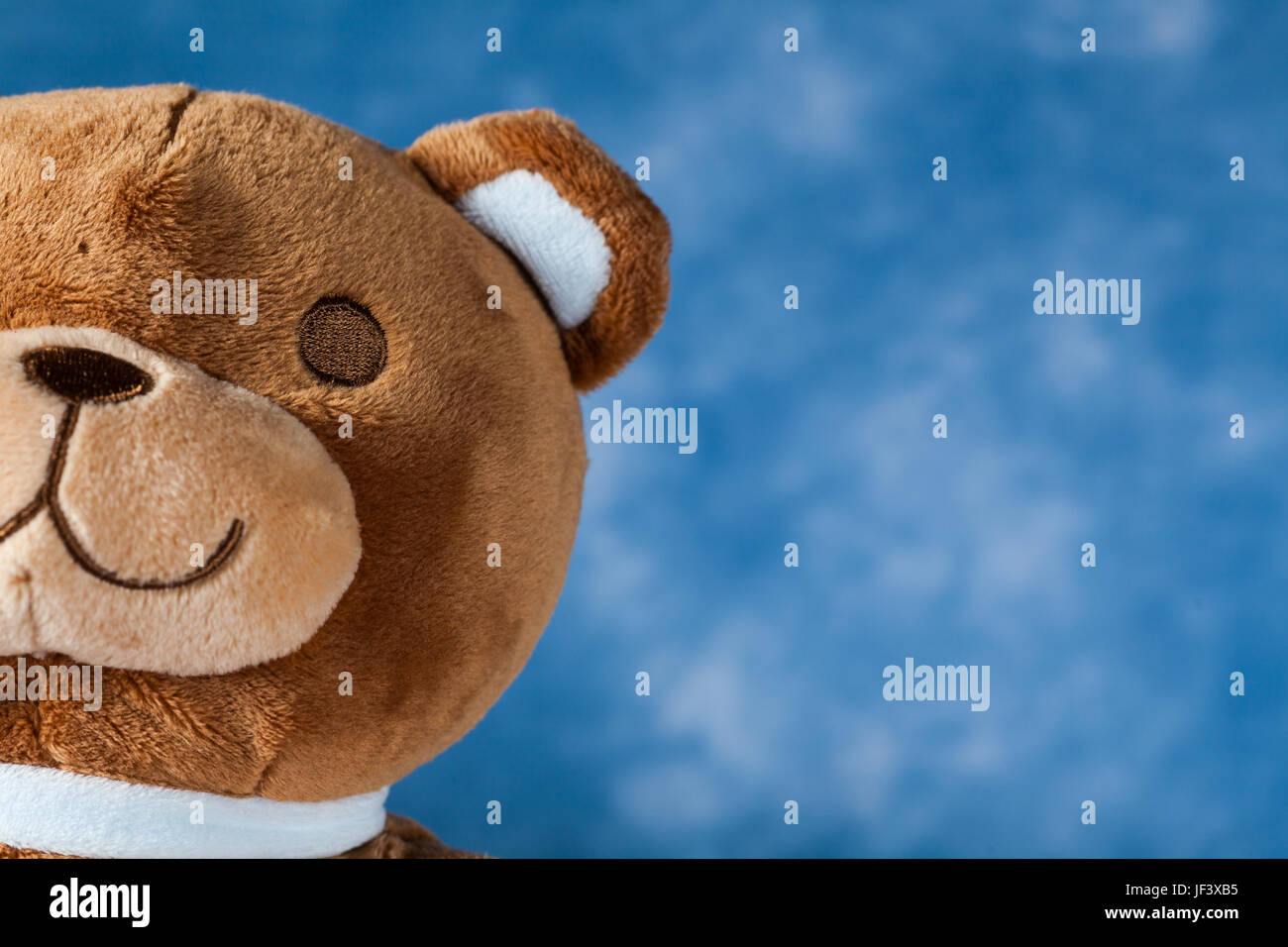 Lovely Teddy Bear Stock Photo - Alamy