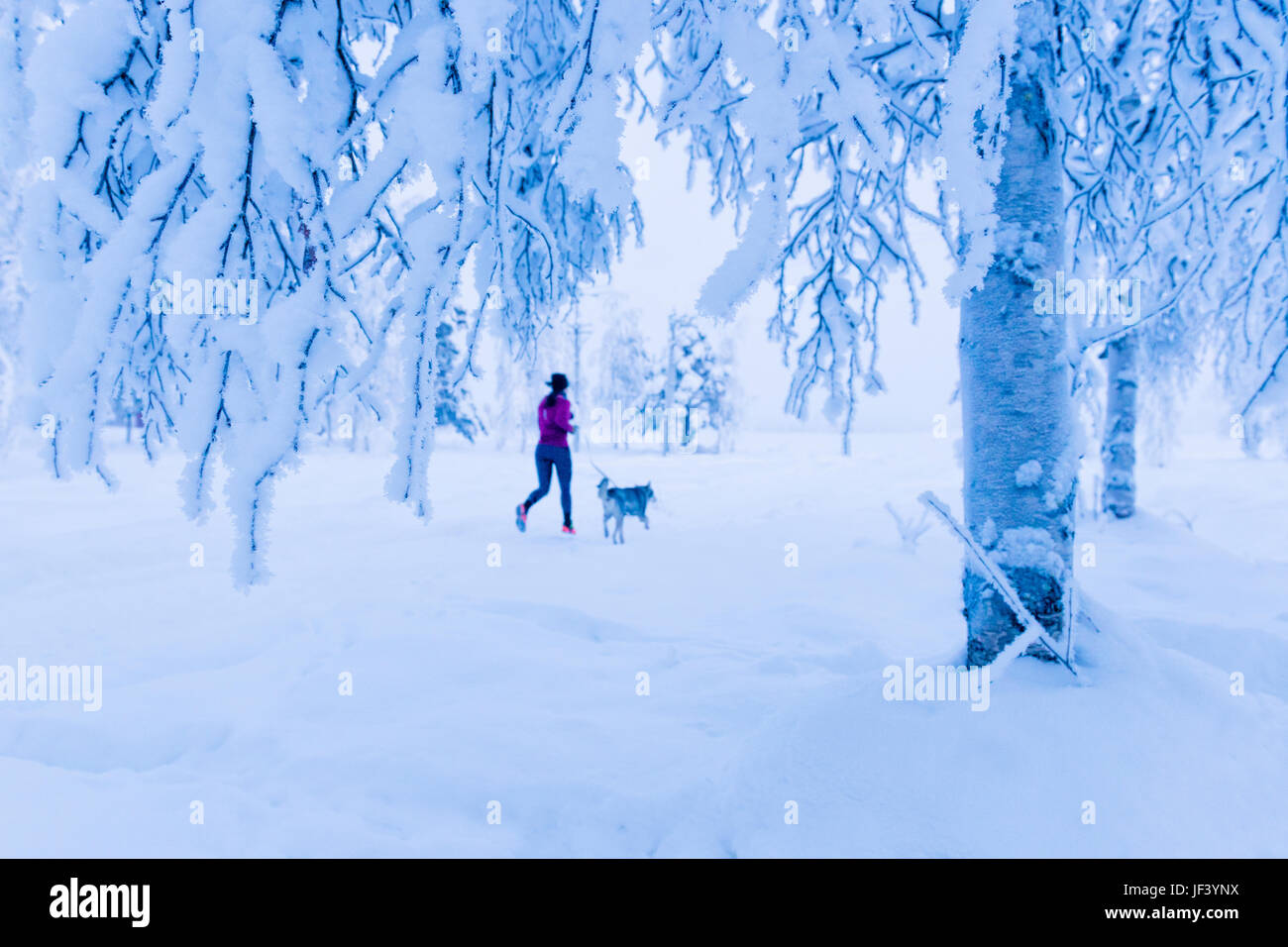 Woman running with dog at winter Stock Photo